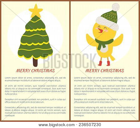 Merry Christmas Greeting Cards With Evergreen Decorated Spruce Tree And Yellow Chicken In Scarf Icon