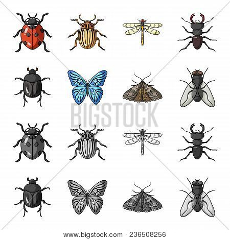 Wrecker, Parasite, Nature, Butterfly .insects Set Collection Icons In Cartoon, Monochrome Style Vect