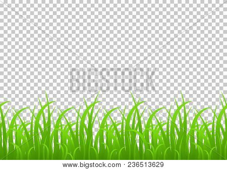 Grass Seamless Border, Vector Illustration Isolated On Transparent Background. Meadow, Greenery, Gra