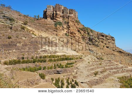 Piantagione di caffè, Yemen