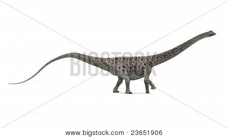 Dinosaura Diplodocus