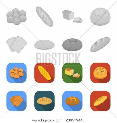 Toast, Pizza Stock, Ruffed Loaf, Round Rye.bread Set Collection Icons In Monochrome, Flat Style Vect