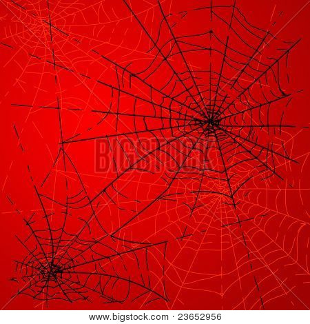 Web de arañas de Halloween