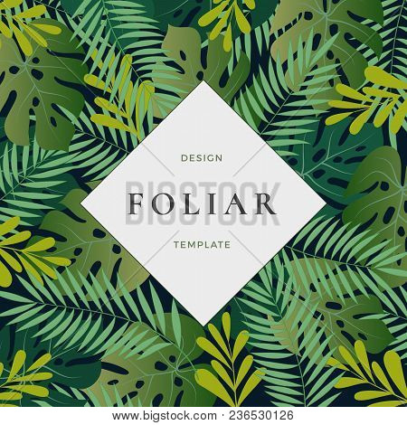 Tropical Forest Leaves Abstract Vector Background With Banner Template. Monstera Palm Leaf, Fern And