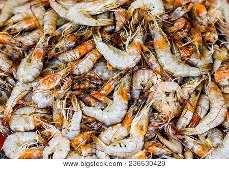 Heap Of Golden White Shrimps Prawn Lobster Seafood For Sale In Fish Market