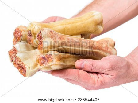 Male hand holding Dog chew bone food - pet accessories for eat, isolated on white background with copy space
