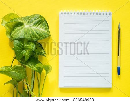 Notepad For Notes, Green Plant Leaves On Yellow Desktop, Flat Lay, Copy Space.