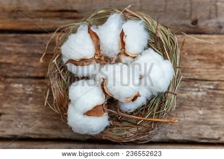 Beautiful White Cotton Flowers In Basket On Rustic Old Vintage Wooden Flat Lay Background. Fabric Cl