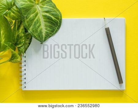 Notepad For Notes, Green Plant Leaves On Yellow Desktop, Flat Lay, Copy Space.