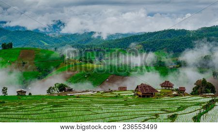 Ban Papongpieng Rice Terraces, Chiang Mai, North Of Thailand