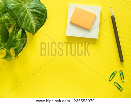Notepad For Notes, Green Plant Leaves On Yellow Desktop, Flat Lay, Copy Space.