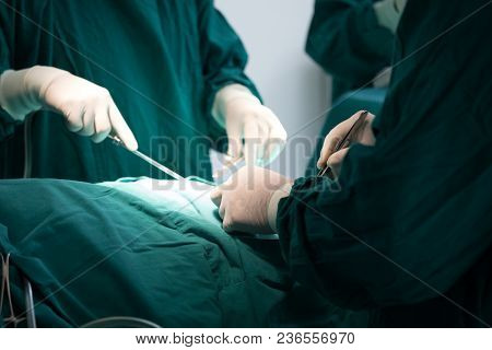 The Surgery Team Working Together At The Operating Room In The Hospital.