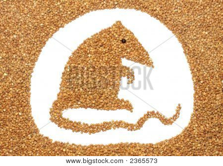Souris de sarrasin