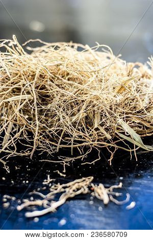 Ayurvedic Herb Vetiver Grass Or Khus On A Black Wooden Surface Used As A Flavoring Agent In Most Of