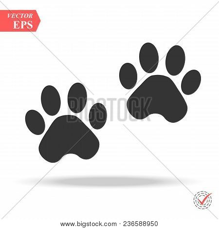 Black Silhouette Animal Paw Track Isolated On White Background. Vector Illustration Eps