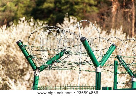 Fence With Razor Barbed Wire. Guarded Area. Military Base. Razor Wire