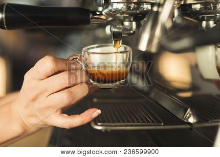Experienced Barman Making Espresso In Modern Coffee Machine. Closeup Of Female Hand Preparing Bracin