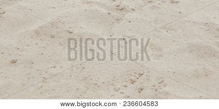Sand Texture. Sandy Beach For Background.top View