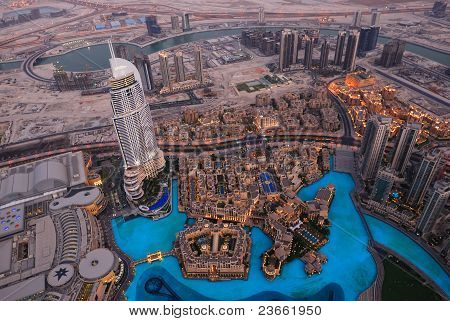 Uccello di Dubai