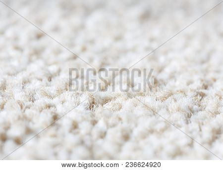 Neutral Plain Wool Carpet Rug Texture Closeup