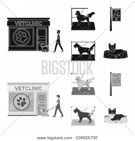 Visiting A Vet Clinic, A Signboard Of A Stylish Salon For A Pet, A Haircut Of Dogs. Vet Clinic And P
