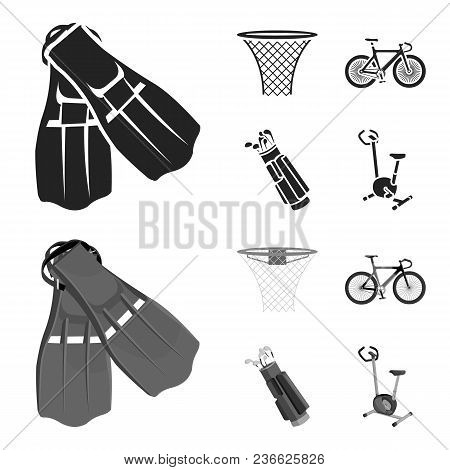 Flippers For Swimming, Basketball Basket, Net, Racing Holograph, Golf Bag. Sport Set Collection Icon