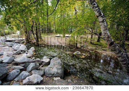 Bridge Over A Stream Among Birches, Autumn, Russia
