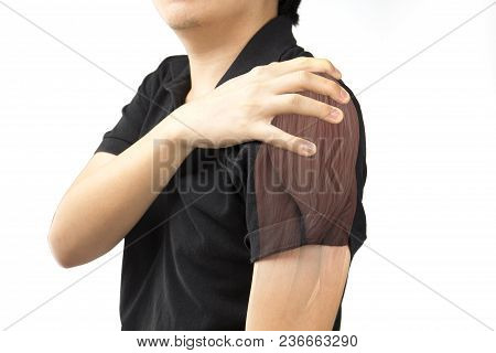 Shoulder Muscle Injury White Background Shoulder Pain