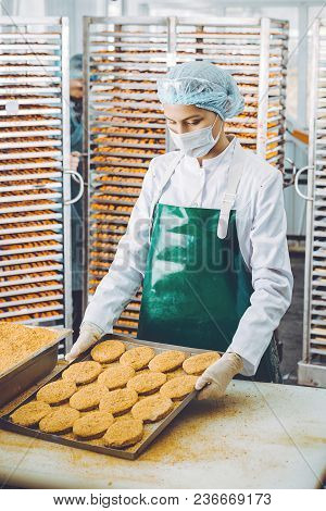 Fish Seafood Factory Industry Production Processing Equipment