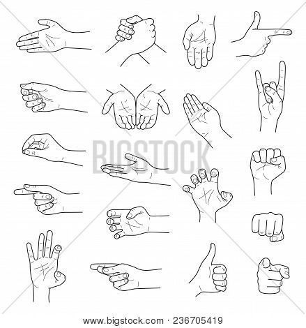 Hand Gestures Contour Sketch Large Vector Set