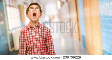 Handsome toddler child with green eyes stressful, terrified in panic, shouting exasperated and frustrated. Unpleasant gesture. Annoying work drives me crazy at school corridor