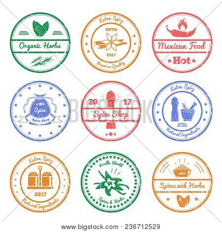 Spices And Herbs Set Of Round Stamps With Leaves, Vanilla Flowers, Chili Pepper, Mills Isolated Vect