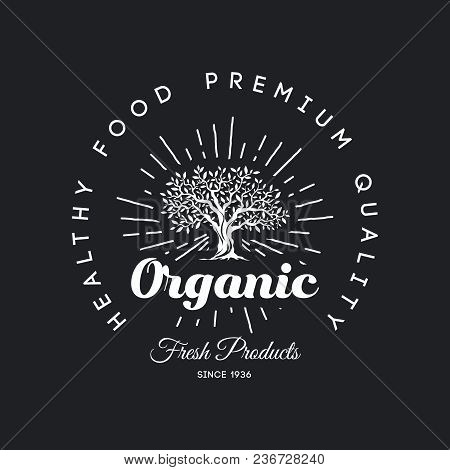 Organic Natural And Healthy Farm Fresh Food Retro Emblem Design. Vintage Round Olive Tree Logo Isola