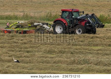 June 2017, Lewitz, Germany, Stork Is Looking For Food In Front Of A Tractor On A Pasture