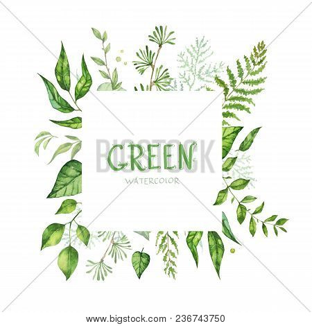 Floral Greenery Card Design. Forest Branch Green Leaves Foliage Herb, Greenery Frame. Wedding Invita