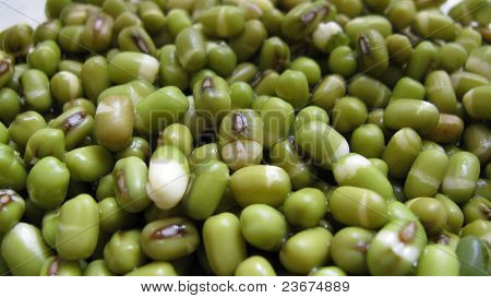 Verde Urad Dal