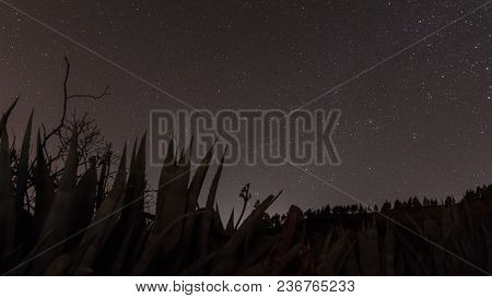 Image Of The Sky And The Stars, Photo Taken In The Center Of The Island Of Gran Canaria