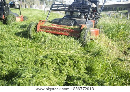 Heap Of Green Grass New-mown With Two Lawn Mowers Behind. Focus On Machine