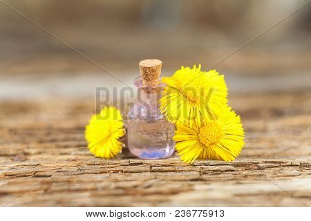 Foalfoot Essential Oil In  Beautiful Bottle On Table