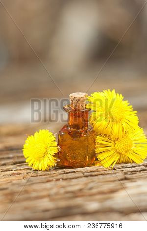 Foalfoot Essential Oil In  Beautiful Bottle On Table