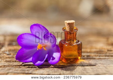 Foalfoot Essential Oil In A Beautiful Bottle On The Table
