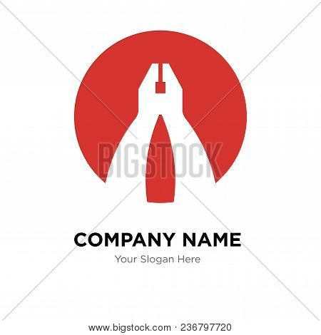 Flat Plyer Company Logo Design Template, Business Corporate Vector Icon