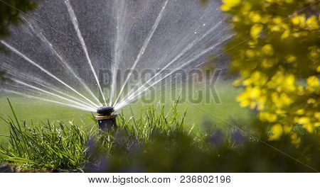 Automatic Sprinkler System Watering The Lawn On A Background Of Green Grass, Close-up