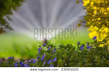 Automatic Sprinkler System Watering The Lawn On A Background Of Green Grass, Close-up