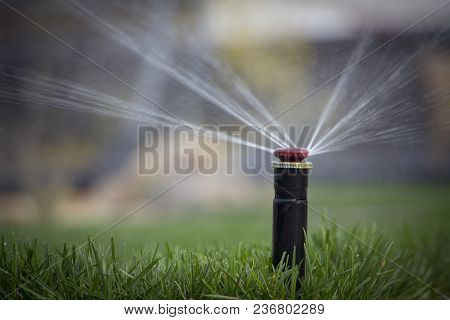 Automatic Sprinkler System Watering The Lawn On A Background Of Green Grass, Close-up