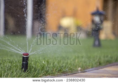 Automatic Sprinkler System Watering The Lawn On A Background Of Green Grass, Close-up