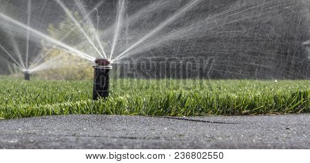 Automatic Sprinkler System Watering The Lawn On A Background Of Green Grass, Close-up