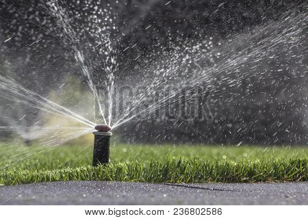 Automatic Sprinkler System Watering The Lawn On A Background Of Green Grass, Close-up