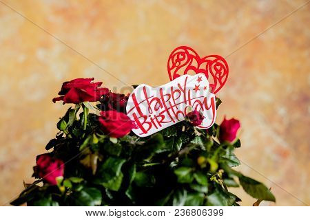 Red Roses Flowers On Wooden Background.red Flowers And Message Happy Birthday,
