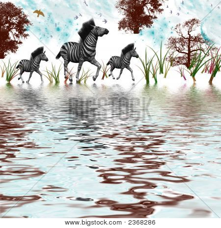 Zebra kapısı